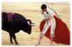torero